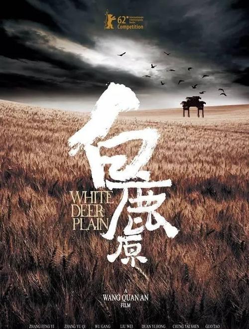 怎么做假安道尔